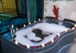 7.Sense Nature Resort 7.Sense Nature Resort