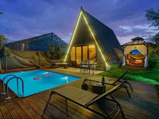 Plane Tree Plane Tree