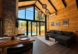 Thea Sapanca Thea Sapanca