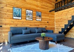 Thea Sapanca Thea Sapanca