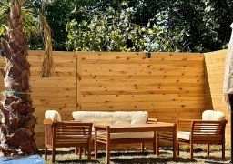 Thea Sapanca Thea Sapanca