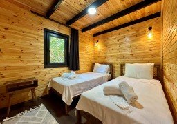 Thea Sapanca Thea Sapanca